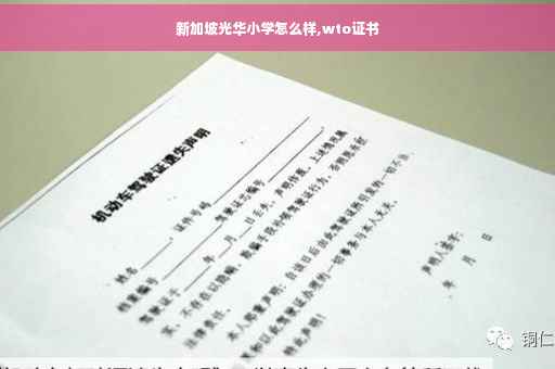 新加坡光华小学怎么样,wto证书