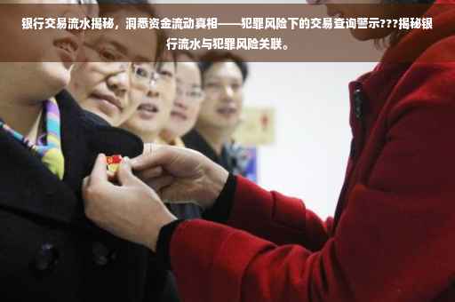 银行交易流水揭秘，洞悉资金流动真相——犯罪风险下的交易查询警示???揭秘银行流水与犯罪风险关联。