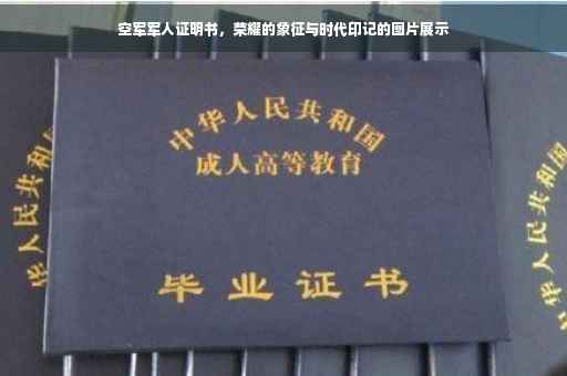 空军军人证明书，荣耀的象征与时代印记的图片展示