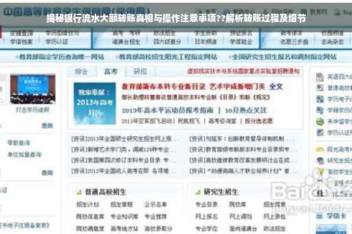 揭秘银行流水大额转账真相与操作注意事项??解析转账过程及细节