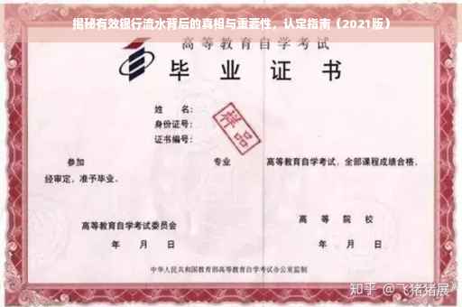 揭秘有效银行流水背后的真相与重要性，认定指南（2021版）