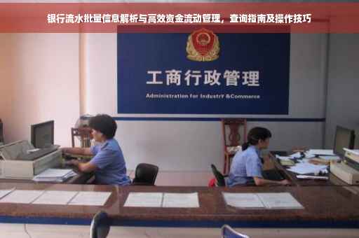 银行流水批量信息解析与高效资金流动管理，查询指南及操作技巧