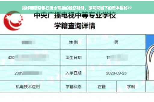揭秘烟酒店银行流水背后的经济脉络，微观观察下的账本揭秘??