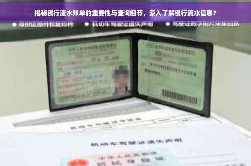 揭秘银行流水账单的重要性与查询细节，深入了解银行流水信息?
