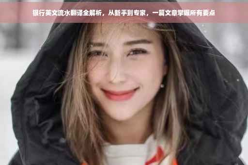 银行英文流水翻译全解析，从新手到专家，一篇文章掌握所有要点