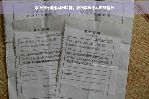 掌上银行流水导出指南，轻松掌握个人财务情况