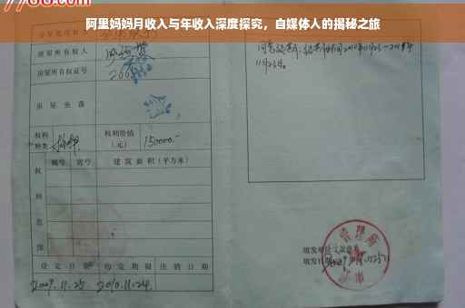 阿里妈妈月收入与年收入深度探究，自媒体人的揭秘之旅