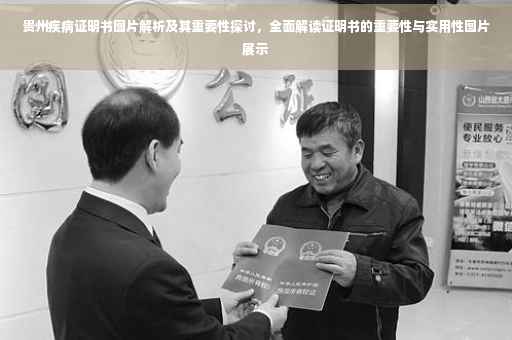 贵州疾病证明书图片解析及其重要性探讨，全面解读证明书的重要性与实用性图片展示