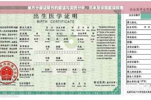 单方分居证明书的解读与实例分析，范本及详细解读指南