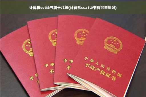计算机cct证书属于几级(计算机ccat证书有含金量吗)