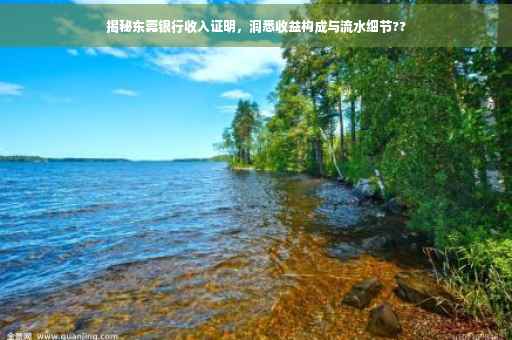 揭秘东莞银行收入证明，洞悉收益构成与流水细节??
