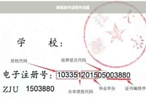 癫痫发作证明书详解