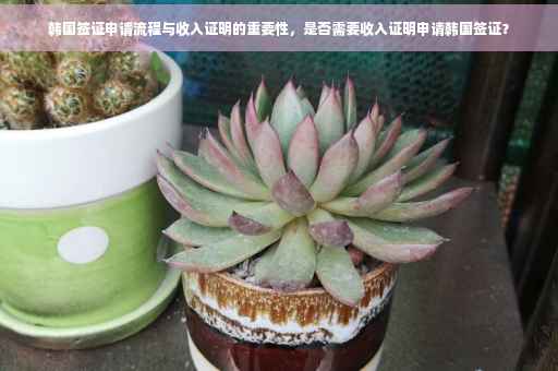 韩国签证申请流程与收入证明的重要性，是否需要收入证明申请韩国签证？