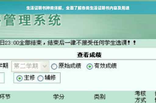生活证明书种类详解，全面了解各类生活证明书内容及用途