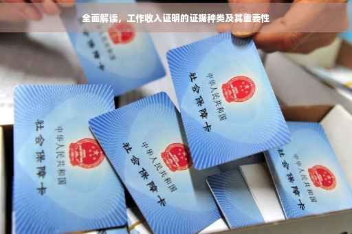 全面解读，工作收入证明的证据种类及其重要性