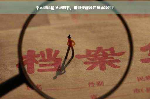 个人退税情况证明书，详细步骤及注意事项?⚡️