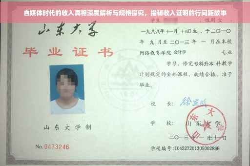 自媒体时代的收入真相深度解析与规格探究，揭秘收入证明的行间距故事