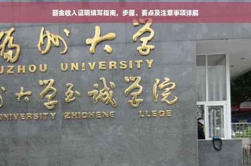 薪金收入证明填写指南，步骤、要点及注意事项详解