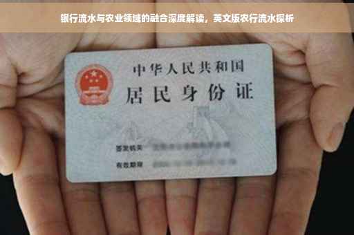 银行流水与农业领域的融合深度解读，英文版农行流水探析