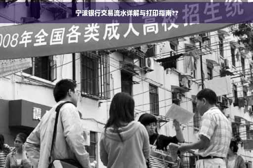 宁波银行交易流水详解与打印指南??