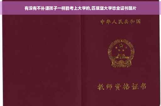 有没有不补课孩子一样能考上大学的,匹兹堡大学毕业证书图片