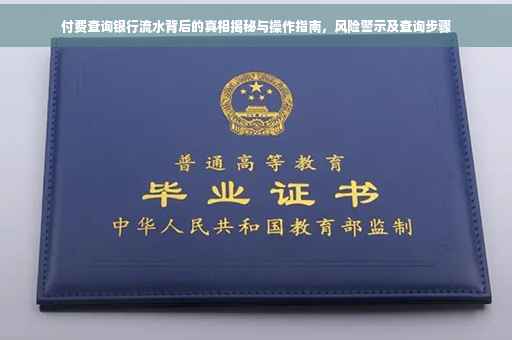 付费查询银行流水背后的真相揭秘与操作指南，风险警示及查询步骤