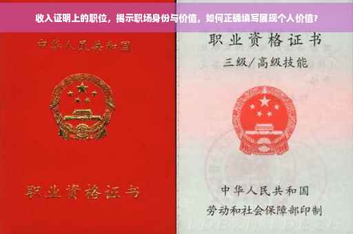 收入证明上的职位，揭示职场身份与价值，如何正确填写展现个人价值？