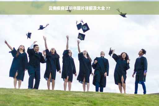 云南疾病证明书图片详解及大全 ??