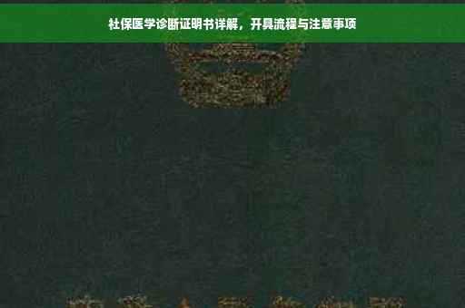 社保医学诊断证明书详解，开具流程与注意事项