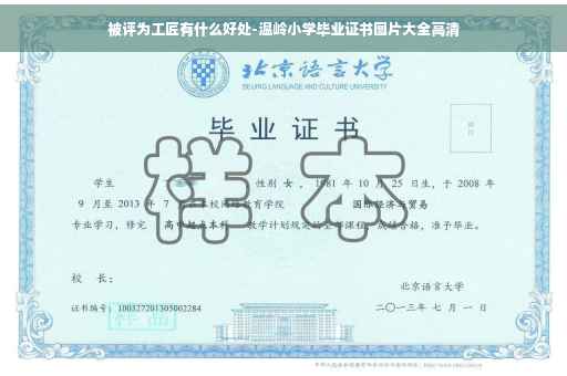被评为工匠有什么好处-温岭小学毕业证书图片大全高清