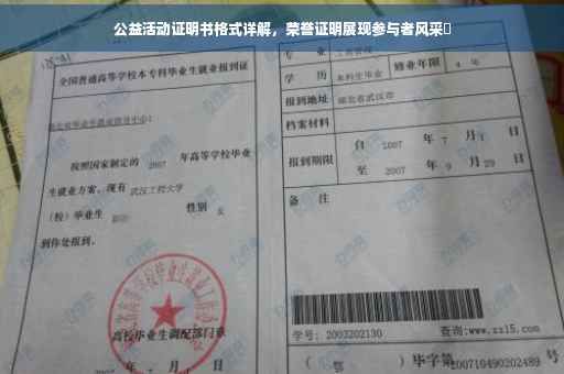 公益活动证明书格式详解，荣誉证明展现参与者风采✨