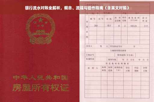 银行流水对账全解析，概念、流程与操作指南（含英文对照）