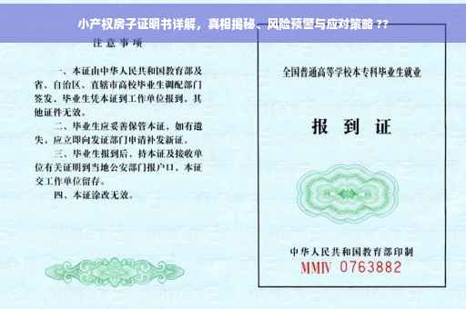 小产权房子证明书详解，真相揭秘、风险预警与应对策略 ??