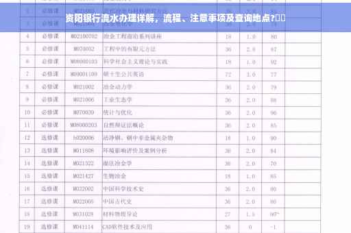 资阳银行流水办理详解，流程、注意事项及查询地点?⚡️