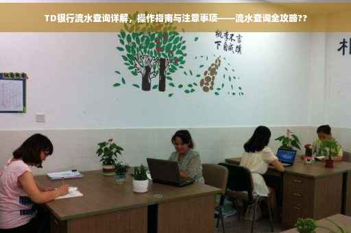TD银行流水查询详解，操作指南与注意事项——流水查询全攻略??