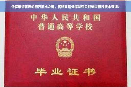 低保申请背后的银行流水之谜，揭秘申请低保是否只能通过银行流水查询？