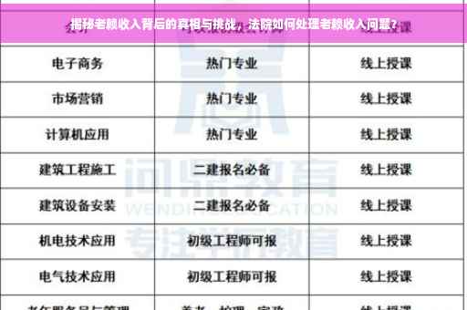 揭秘老赖收入背后的真相与挑战，法院如何处理老赖收入问题？