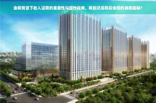 金税背景下收入证明的重要性与操作指南，税前还是税后金额的真相揭秘?