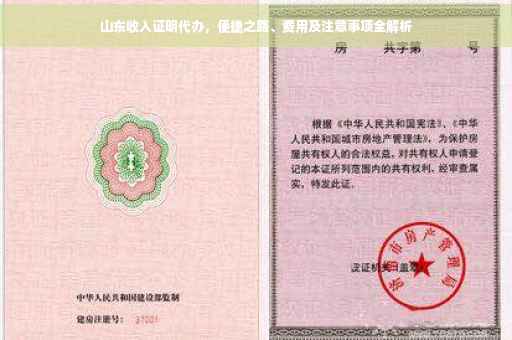山东收入证明代办，便捷之路、费用及注意事项全解析