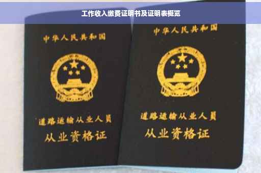 工作收入缴费证明书及证明表概览