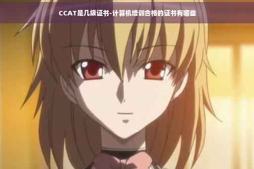 CCAT是几级证书-计算机培训合格的证书有哪些