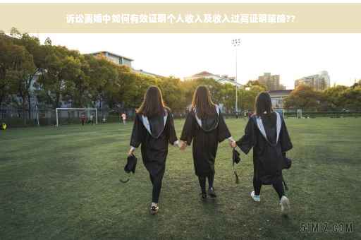 诉讼离婚中如何有效证明个人收入及收入过高证明策略??