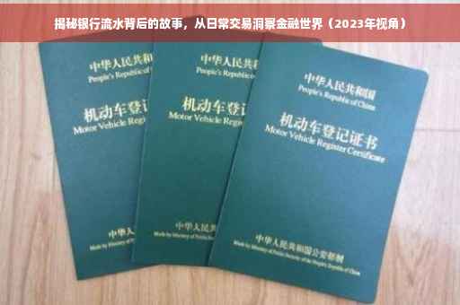 揭秘银行流水背后的故事，从日常交易洞察金融世界（2023年视角）