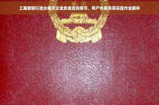 工商查银行流水揭示企业资金流向细节，账户名称及幕后操作全解析