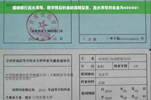 揭秘银行流水序号，数字背后的金融真相探索，流水序号并非全为00000！