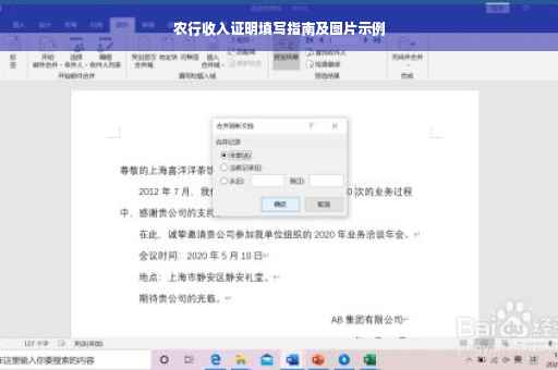 农行收入证明填写指南及图片示例