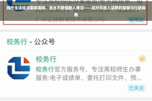 现代生活经济困境揭秘，流水不断却收入难证——应对无收入证明的策略与行动指南
