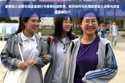 虚假收入证明与非法盖章行为损害社会秩序，如何应对与处理虚假收入证明与非法盖章单位??
