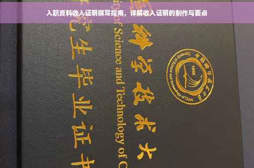 入职资料收入证明撰写指南，详解收入证明的制作与要点