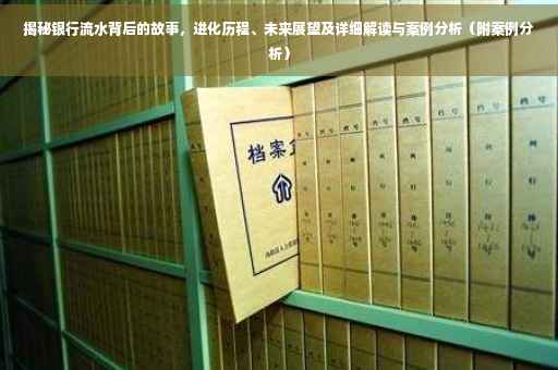 揭秘银行流水背后的故事，进化历程、未来展望及详细解读与案例分析（附案例分析）